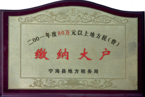 2001年度纳税大户.jpg